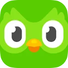 Duolingo Plus 订阅购买(个人独享)